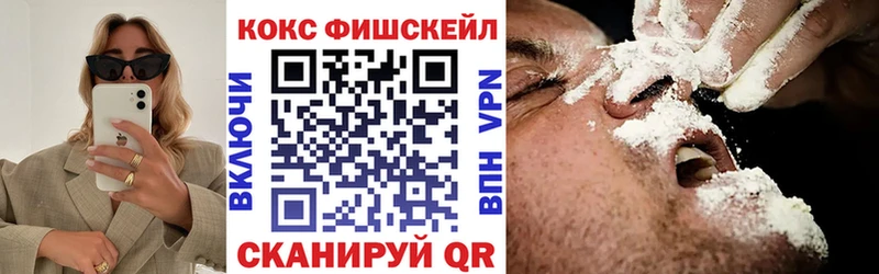 COCAIN Fish Scale  Купить где  Пыталово 