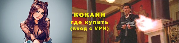 амф Арсеньев