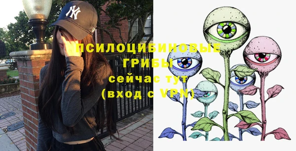 таблы Белокуриха