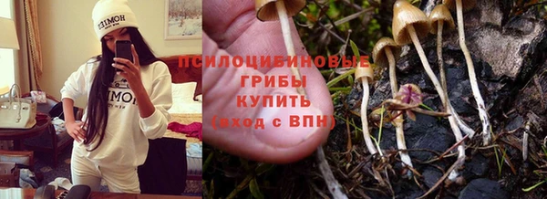 амф Арсеньев