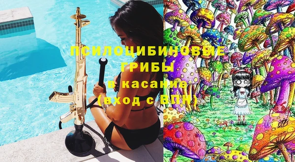 амф Арсеньев
