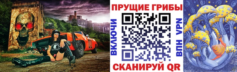 Псилоцибиновые грибы Psilocybine cubensis Купить Пыталово