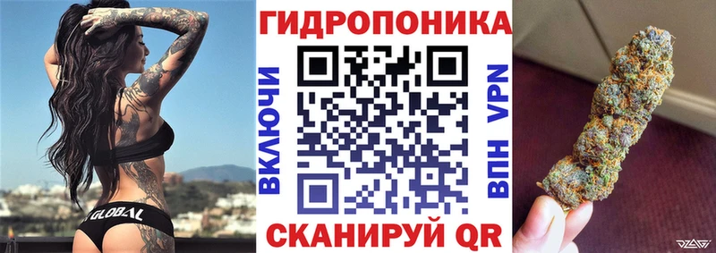 Купить закладки  Пыталово  Бошки марихуана гибрид 